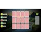 Animal Memory Steam CD Key
