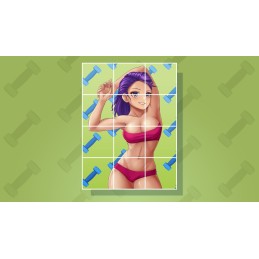 Waifu Bay Girls Steam CD key