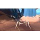 Paper Beast - Folded Edition EU Steam CD Key