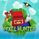 Pixel Hunter Steam CD Key