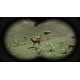 Russian Hunter PC Steam CD Key