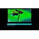 Mothmen 1966 Steam CD Key