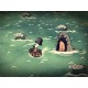 Don't Starve - Shipwrecked DLC Steam CD Key
