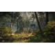 The Forest EU PC Steam CD Key
