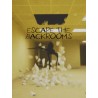 Escape the Backrooms Steam CD Key