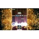 Sixtar Gate: STARTRAIL Steam CD Key