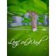 Leaf on Wind Steam CD Key