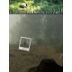 Naturalist Stories Steam CD Key
