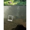 Naturalist Stories Steam CD Key