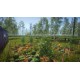 Garden Simulator Steam CD Key