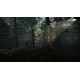 Remoteness Steam CD Key