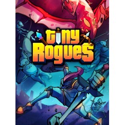 Tiny Rogues PC Steam CD Key