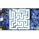 Maze Art: Blue Steam CD Key