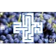 Maze Art: Blue Steam CD Key