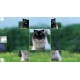 Puzzle Art: Cats Steam CD Key