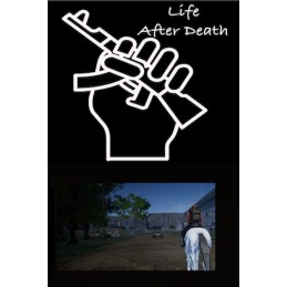 Life after Death Steam CD Key