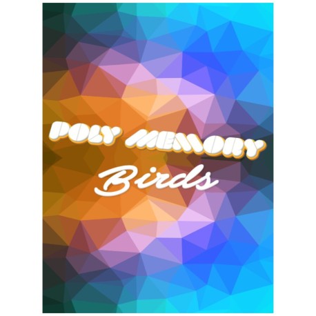 Poly Memory: Birds Steam CD Key