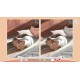 Cute Cats PC Steam CD Key