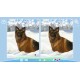 Cute Dogs Steam CD Key