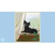 Cute Dogs Steam CD Key