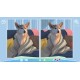 Cute Dogs Steam CD Key