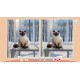 Cute Cats 3 Steam CD Key