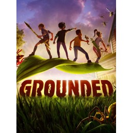 Grounded PC Steam Account