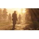 Red Dead Redemption 2 Steam Account