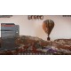 Stranded: Alien Dawn EU PC Steam Altergift