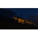 Zombie City Steam CD Key