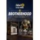 Fallout 76 - Brotherhood Recruitment Bundle DLC Steam CD Key