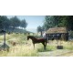 Party Maker Steam CD Key