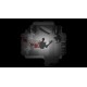 Endoparasitic EU v2 Steam Altergift