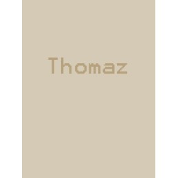 Thomaz Steam CD Key