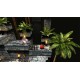 Tomato Jones Steam CD Key