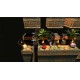 Tomato Jones Steam CD Key