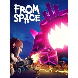 From Space PC Steam CD Key
