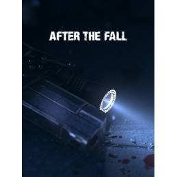 After the Fall Steam Account