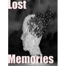 Lost Memories Steam CD Key