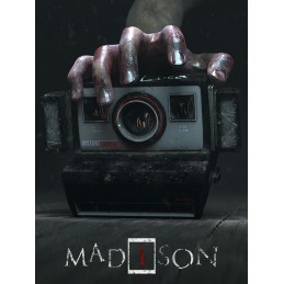 MADiSON Steam Account