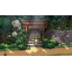 The Forest of Drizzling Rain Steam CD Key