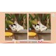 Cute Cats 3 - Digital Artbook + Bonus Videos DLC Steam CD Key