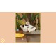 Cute Cats 3 - Digital Artbook + Bonus Videos DLC Steam CD Key