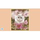Cute Cats - Digital Artbook + Bonus Videos DLC Steam CD Key