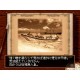 Deserted Island Steam CD Key