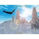 Holiday Bonus GOLD Steam CD Key