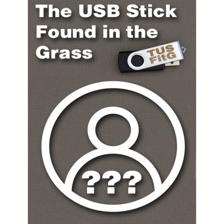 The USB Stick Found in the Grass EU Steam CD Key