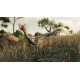 Jurassic World Evolution 2 - Dominion Malta Expansion DLC Steam CD Key