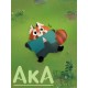 Aka PC Steam CD Key