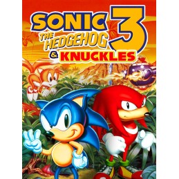 Sonic 3 and Knuckles Steam Gift